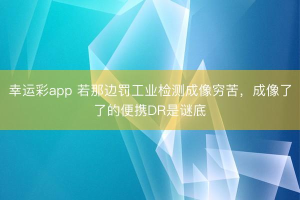 幸运彩app 若那边罚工业检测成像穷苦,成像了了的便携DR是谜底