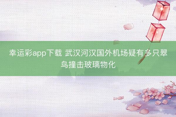 幸运彩app下载 武汉河汉国外机场疑有多只翠鸟撞击玻璃物化