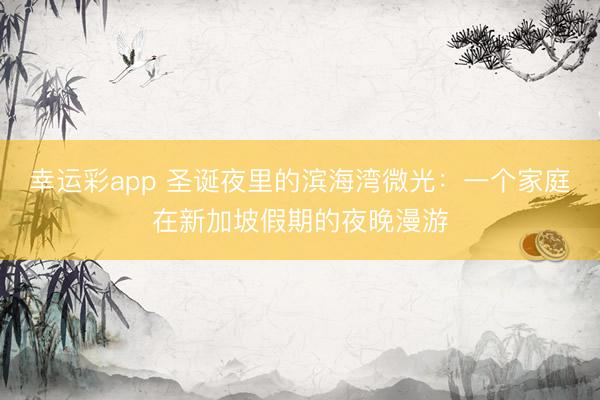 幸运彩app 圣诞夜里的滨海湾微光：一个家庭在新加坡假期的夜晚漫游