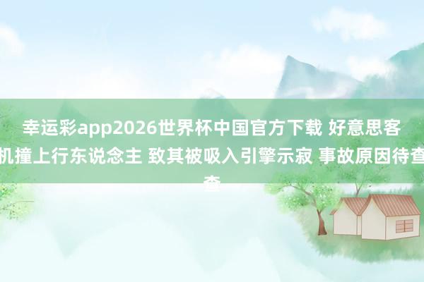 幸运彩app2026世界杯中国官方下载 好意思客机撞上行东说念主 致其被吸入引擎示寂 事故原因待查