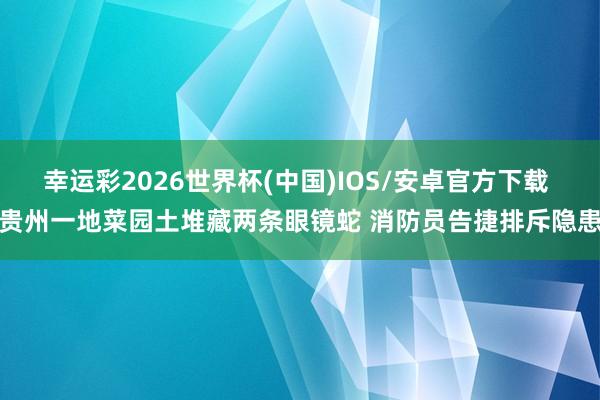 幸运彩2026世界杯(中国)IOS/安卓官方下载 贵州一地菜园土堆藏两条眼镜蛇 消防员告捷排斥隐患