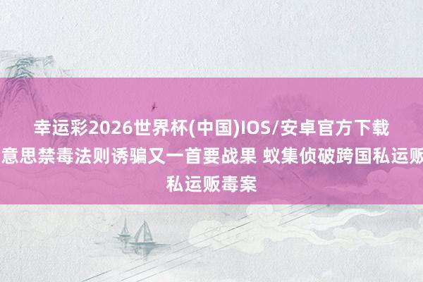 幸运彩2026世界杯(中国)IOS/安卓官方下载 中好意思禁毒法则诱骗又一首要战果 蚁集侦破跨国私运贩毒案