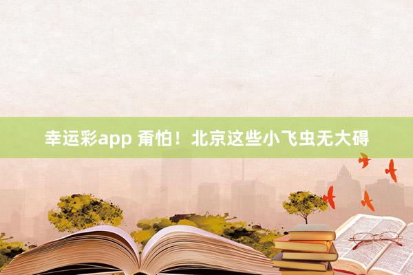 幸运彩app 甭怕！北京这些小飞虫无大碍