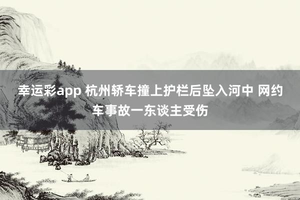 幸运彩app 杭州轿车撞上护栏后坠入河中 网约车事故一东谈主受伤