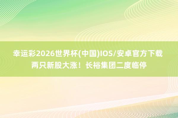 幸运彩2026世界杯(中国)IOS/安卓官方下载 两只新股大涨！长裕集团二度临停
