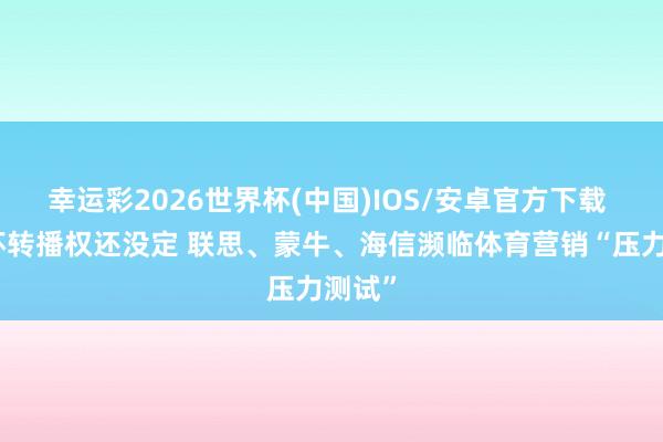 幸运彩2026世界杯(中国)IOS/安卓官方下载 天下杯转播权还没定 联思、蒙牛、海信濒临体育营销“压力测试”