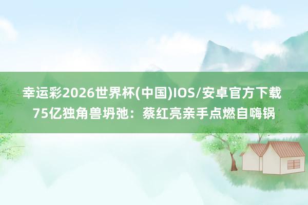 幸运彩2026世界杯(中国)IOS/安卓官方下载 75亿独角兽坍弛：蔡红亮亲手点燃自嗨锅
