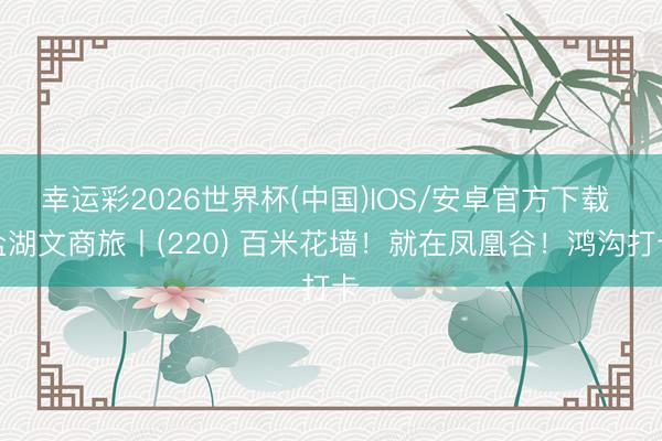 幸运彩2026世界杯(中国)IOS/安卓官方下载 盐湖文商旅丨(220) 百米花墙！就在凤凰谷！鸿沟打卡
