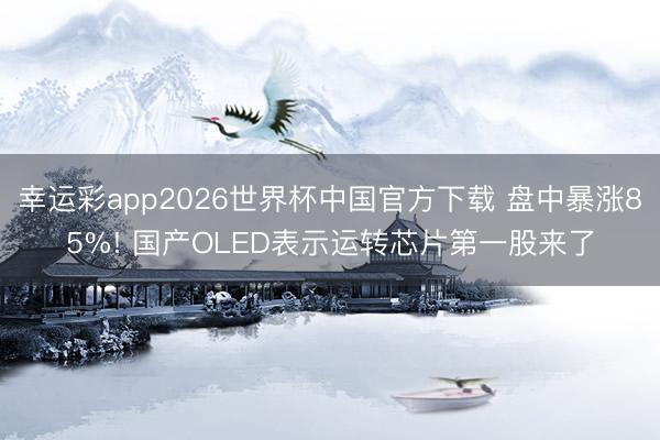 幸运彩app2026世界杯中国官方下载 盘中暴涨85%! 国产OLED表示运转芯片第一股来了