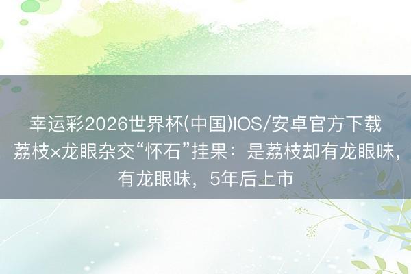 幸运彩2026世界杯(中国)IOS/安卓官方下载 各人首个!荔枝×龙眼杂交“怀石”挂果:是荔枝却有龙眼味,5年后上市