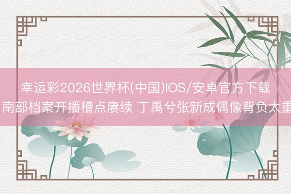 幸运彩2026世界杯(中国)IOS/安卓官方下载 南部档案开播槽点赓续 丁禹兮张新成偶像背负太重